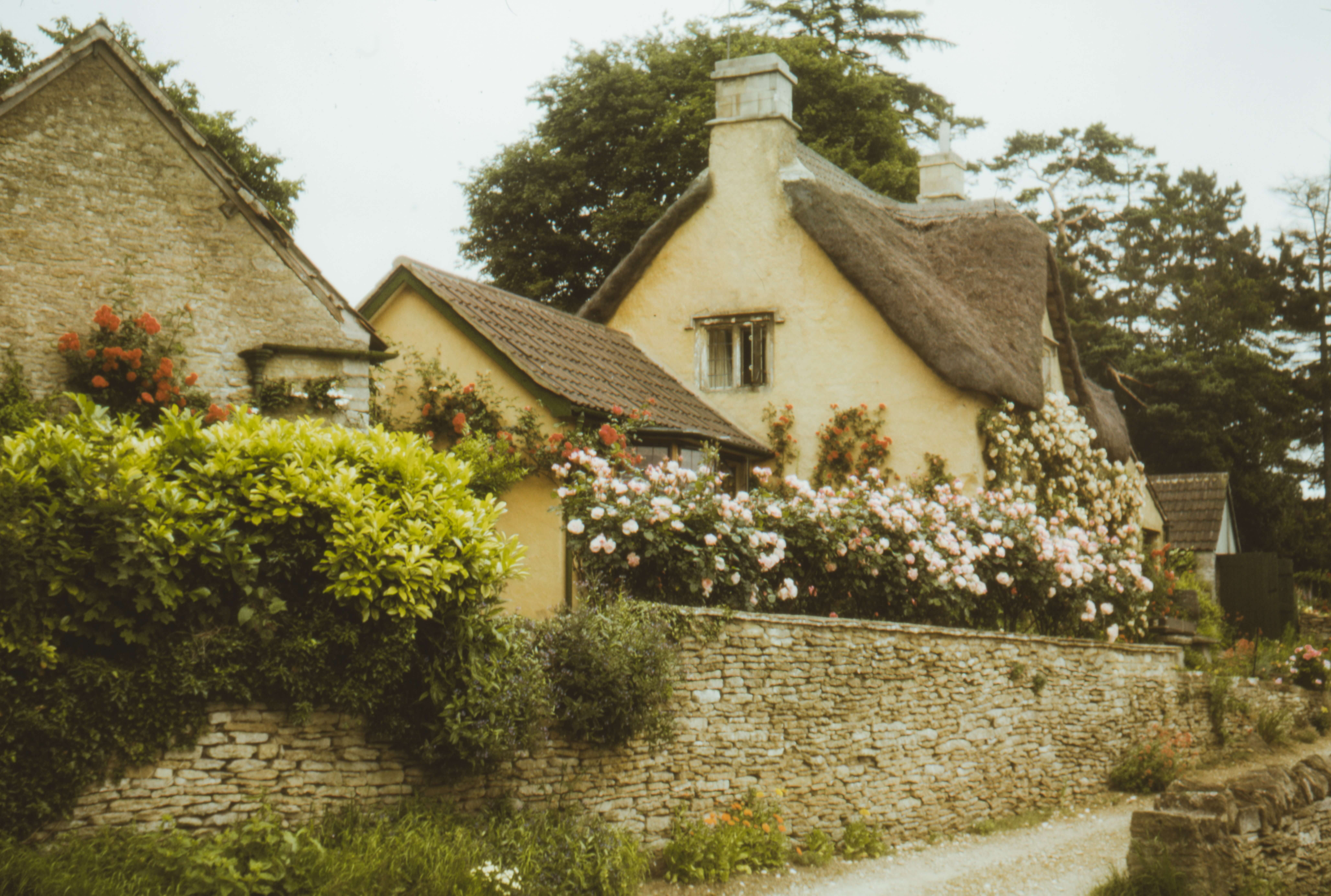 Things You Should Find Out Before Buying A House In The Hills